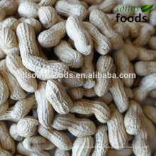 Peanut price per kg lead